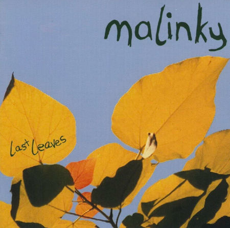cover image for Malinky - Last Leaves