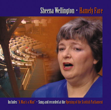 cover image for Sheena Wellington - Hamely Fare